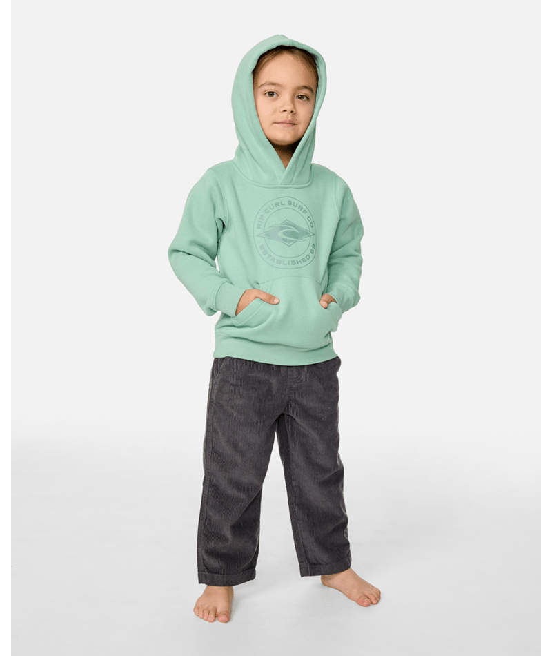 Rip Curl Stapler Hood-Boy in ALOE