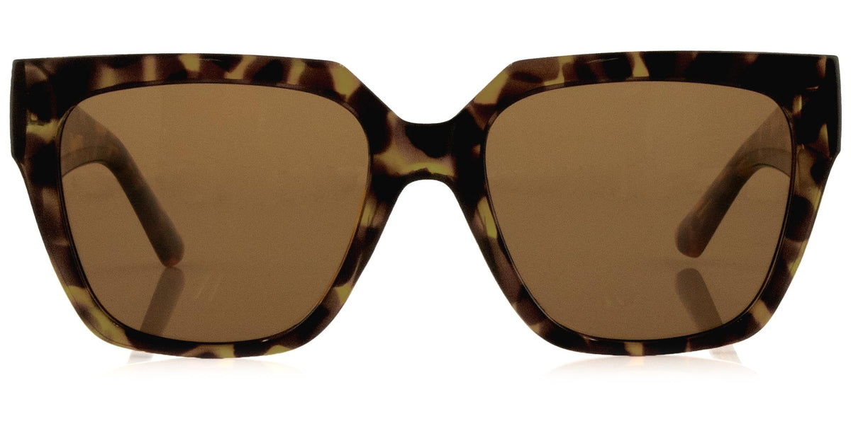 Carve Brooklyn - Gloss Tort Frame Brown Lens in Single