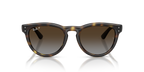Ray-Ban® HAVANA POLAR LIGHT GREY GRADIE in Havana
