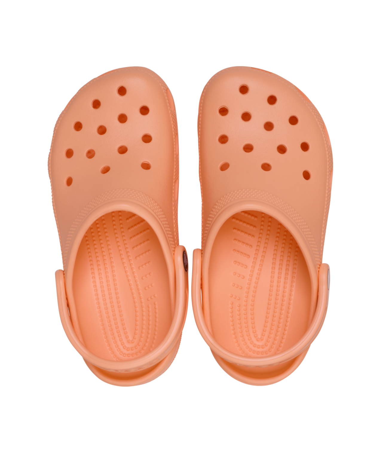 Crocs Classic Blue Hz in Blue