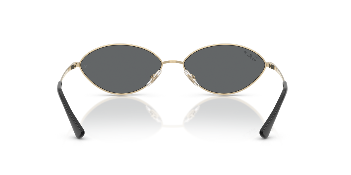 Ray-Ban® KAI PALE GOLD DARK GREY POLAR in Pale Gold