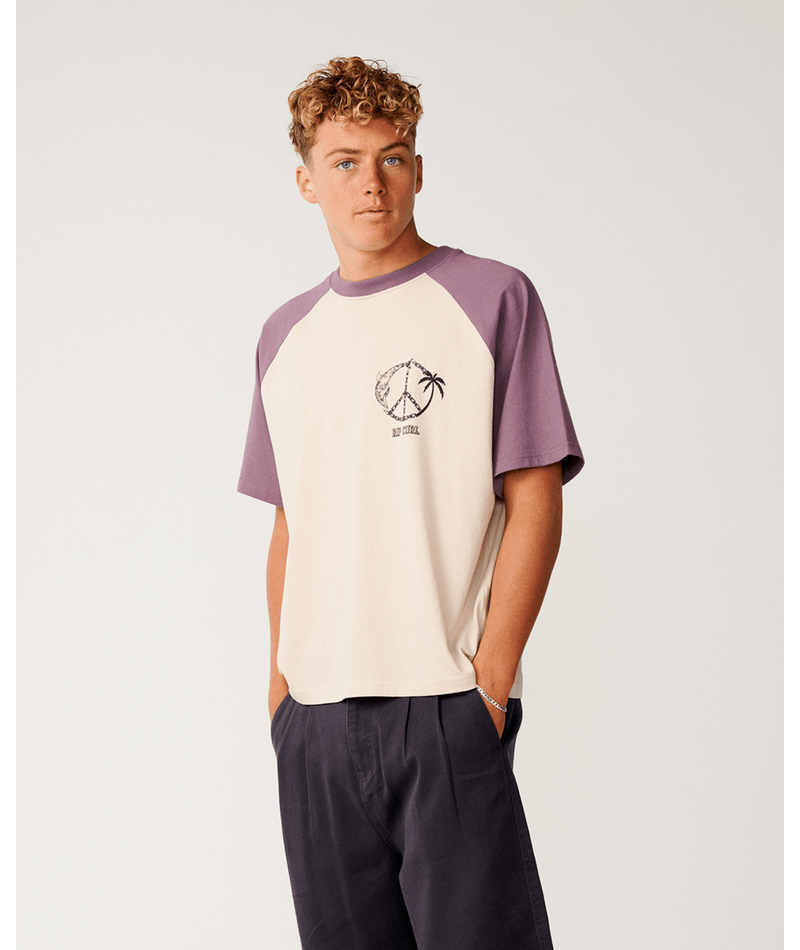 Rip Curl Disorder Dolphin Tee in VINTAGE WHITE