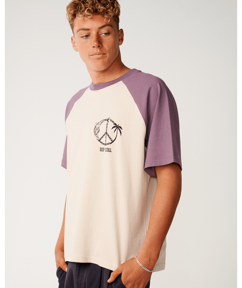 Rip Curl Disorder Dolphin Tee in VINTAGE WHITE