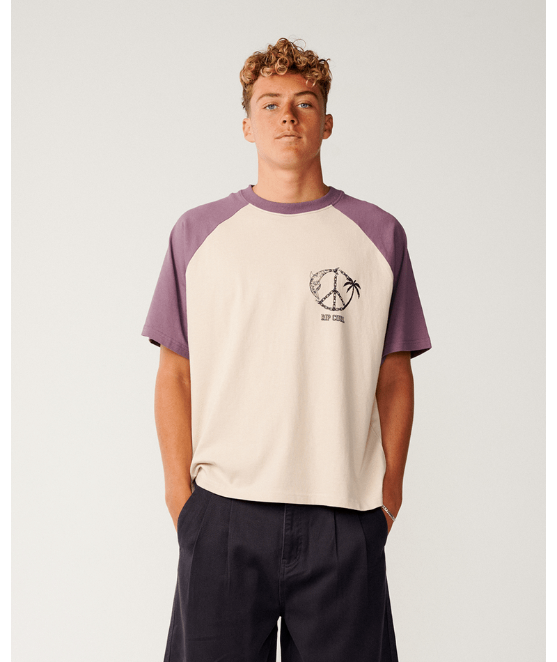 Rip Curl Disorder Dolphin Tee in VINTAGE WHITE