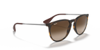 Ray-Ban® ERIKA RUBBER HAVANA BROWN GRAD in Rubber Havana