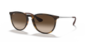 Ray-Ban® ERIKA RUBBER HAVANA BROWN GRAD in Rubber Havana