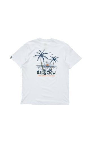 Salty Crew Viewpoint Premium Ss Tee in WHITE