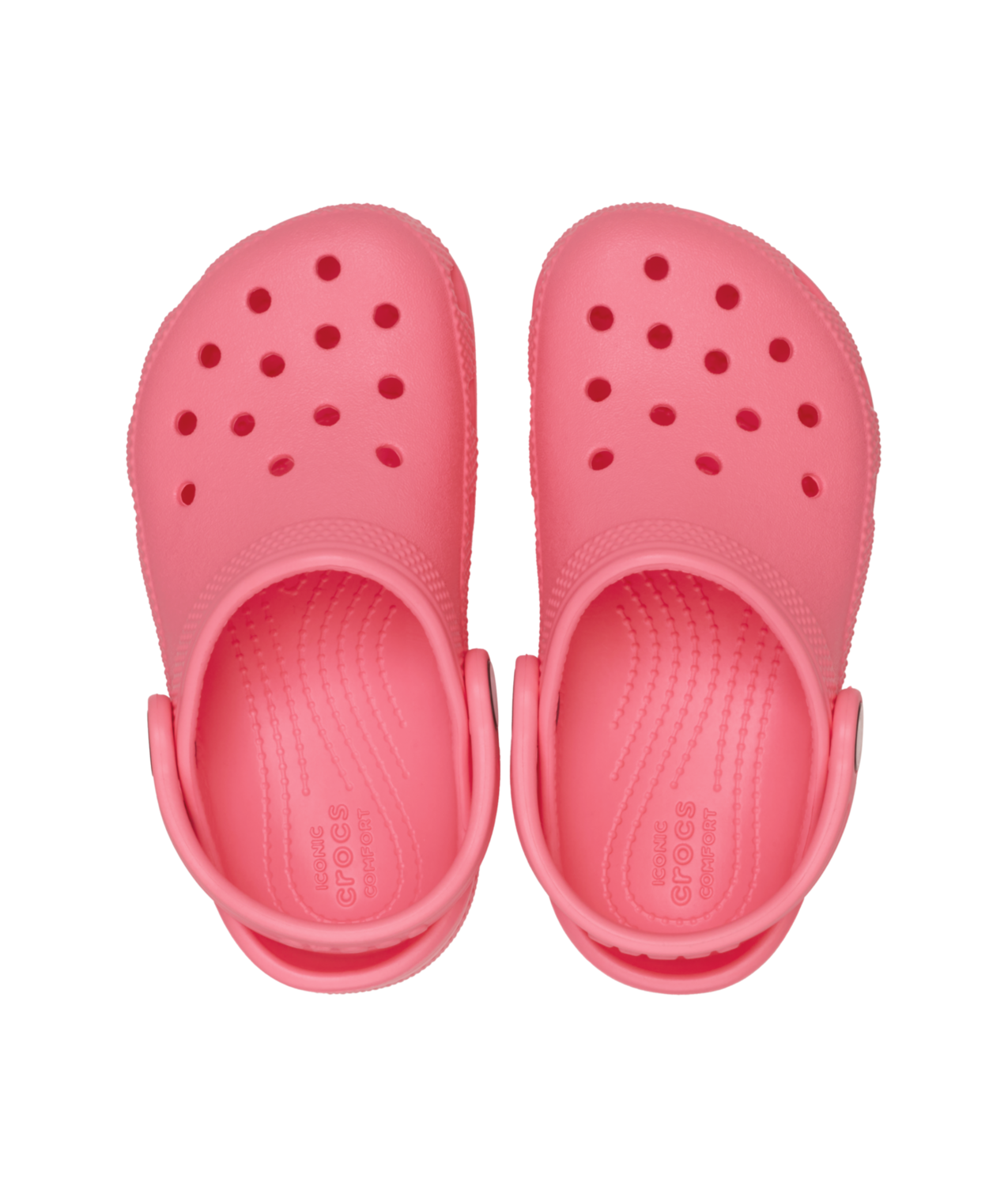 Crocs Classic Clog T Blrnapink in BlrnaPink