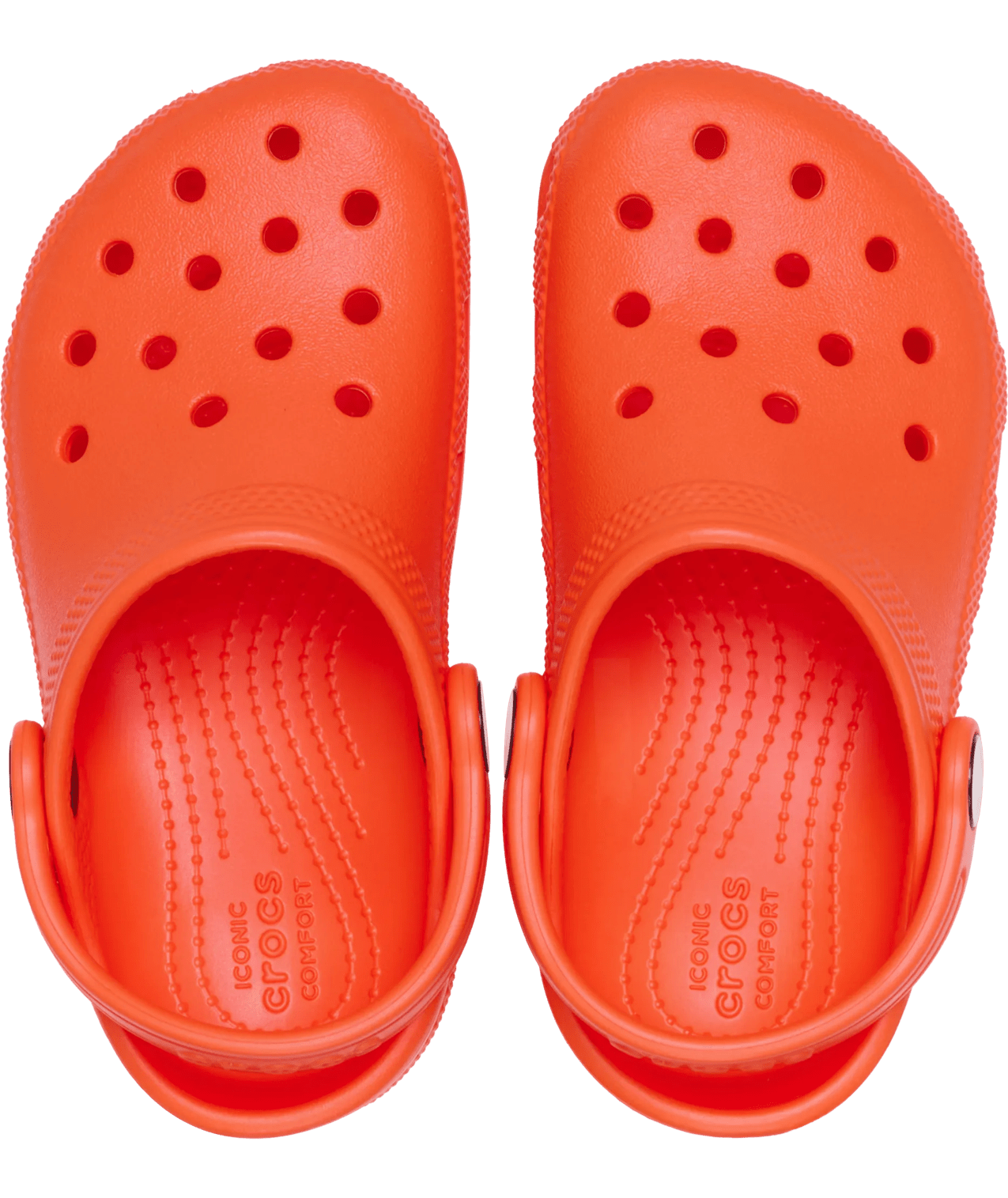 Crocs Classic Clog T Blrnapink in BlrnaPink