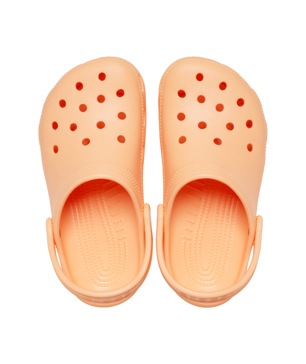 Crocs Classic Clog T Blrnapink in BlrnaPink