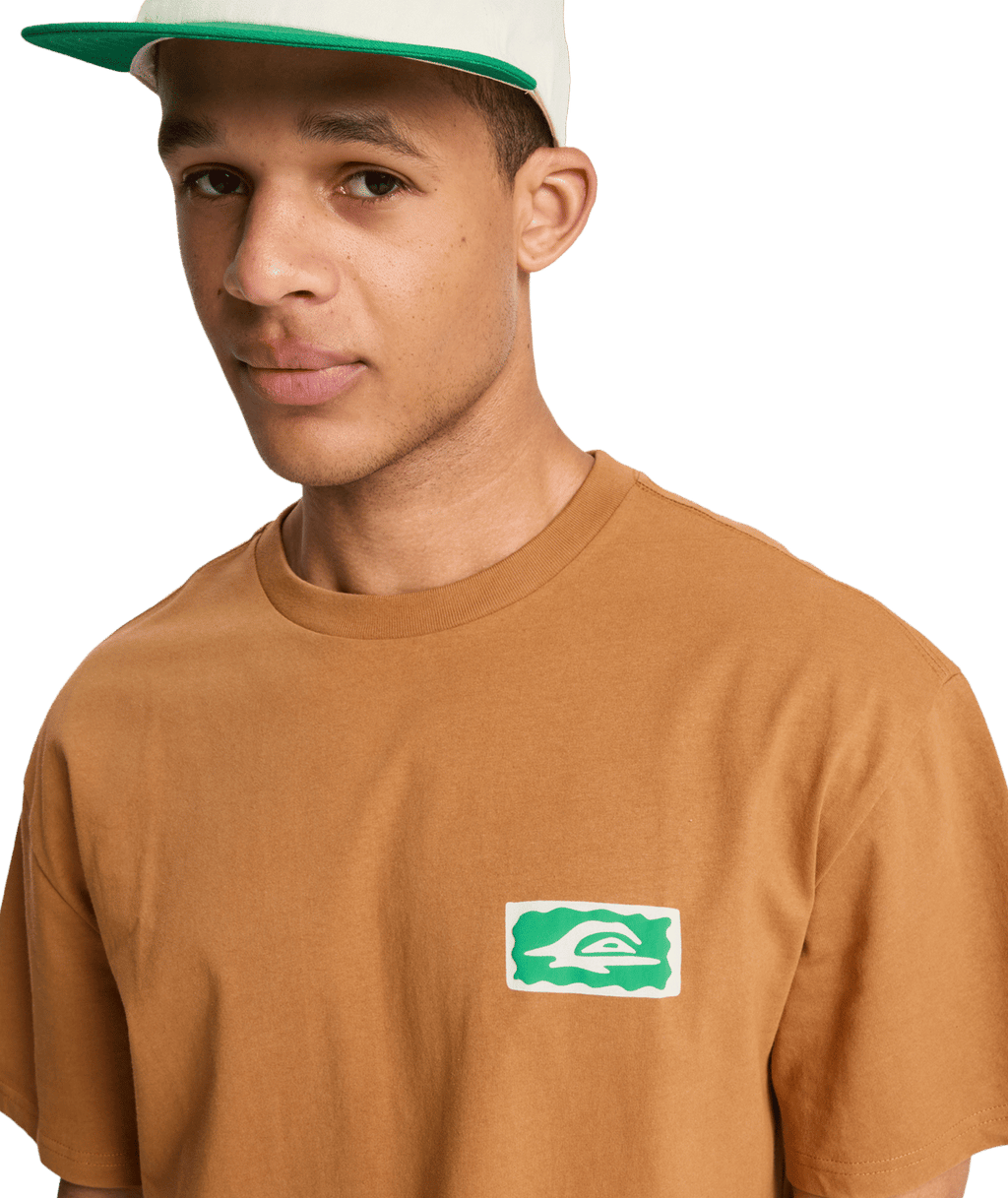 Quiksilver Mens Serenity Splash T-Shirt in Tobacco Brown