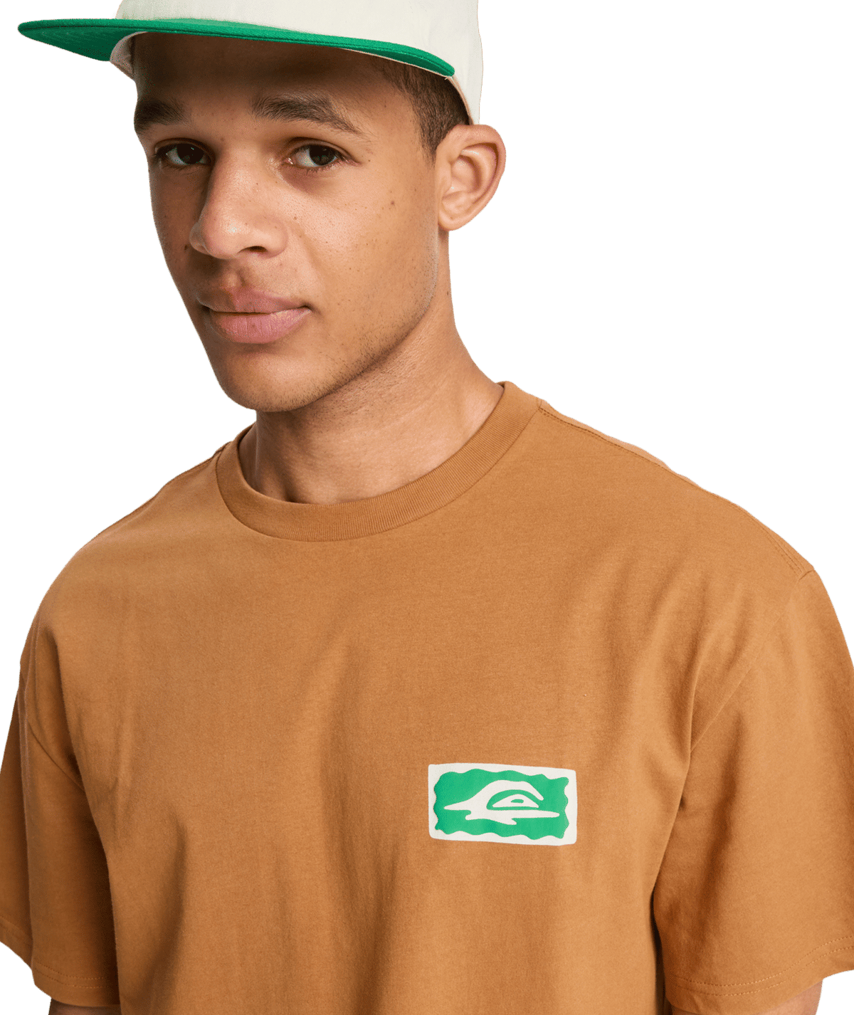 Quiksilver Mens Serenity Splash T-Shirt in Tobacco Brown