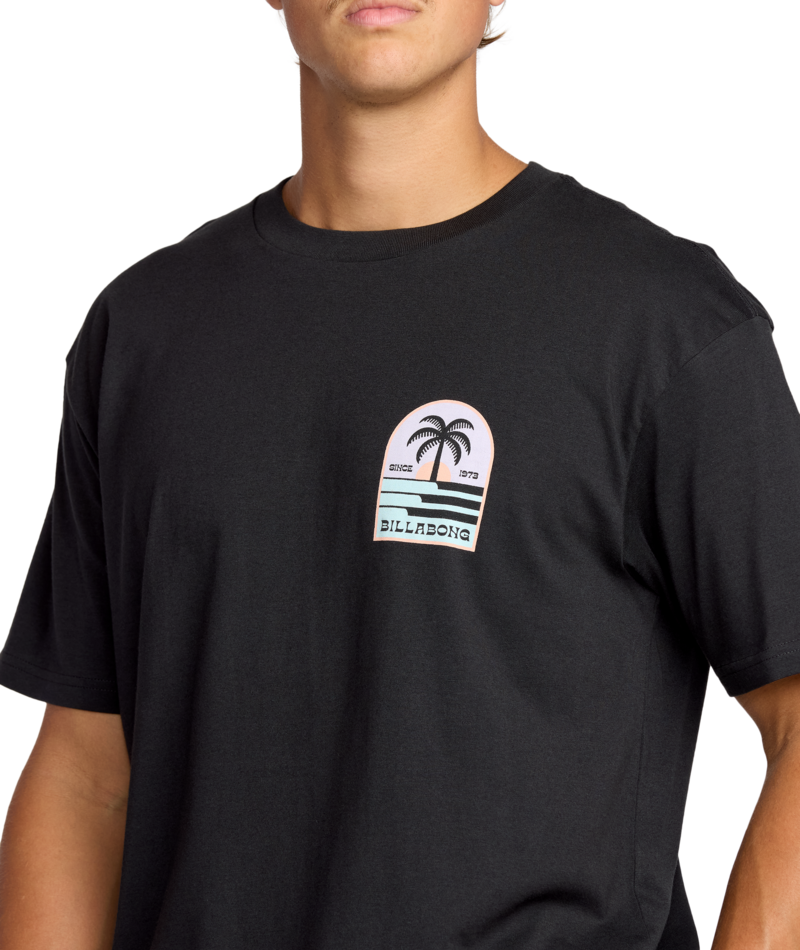Billabong Portal Premium Ss in WASHED BLACK