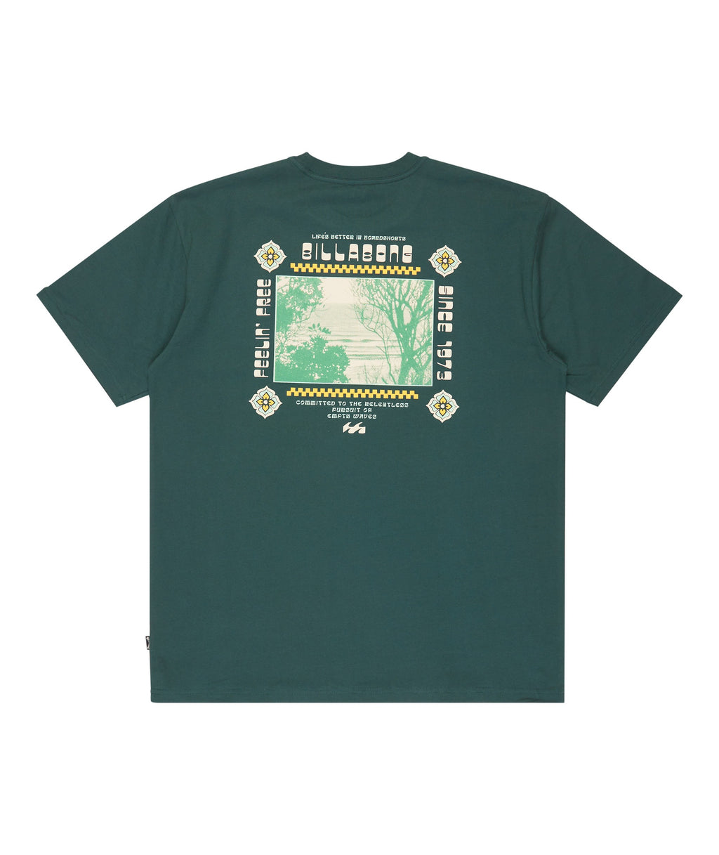 Billabong Secret Spot Regular Ss in FOREST