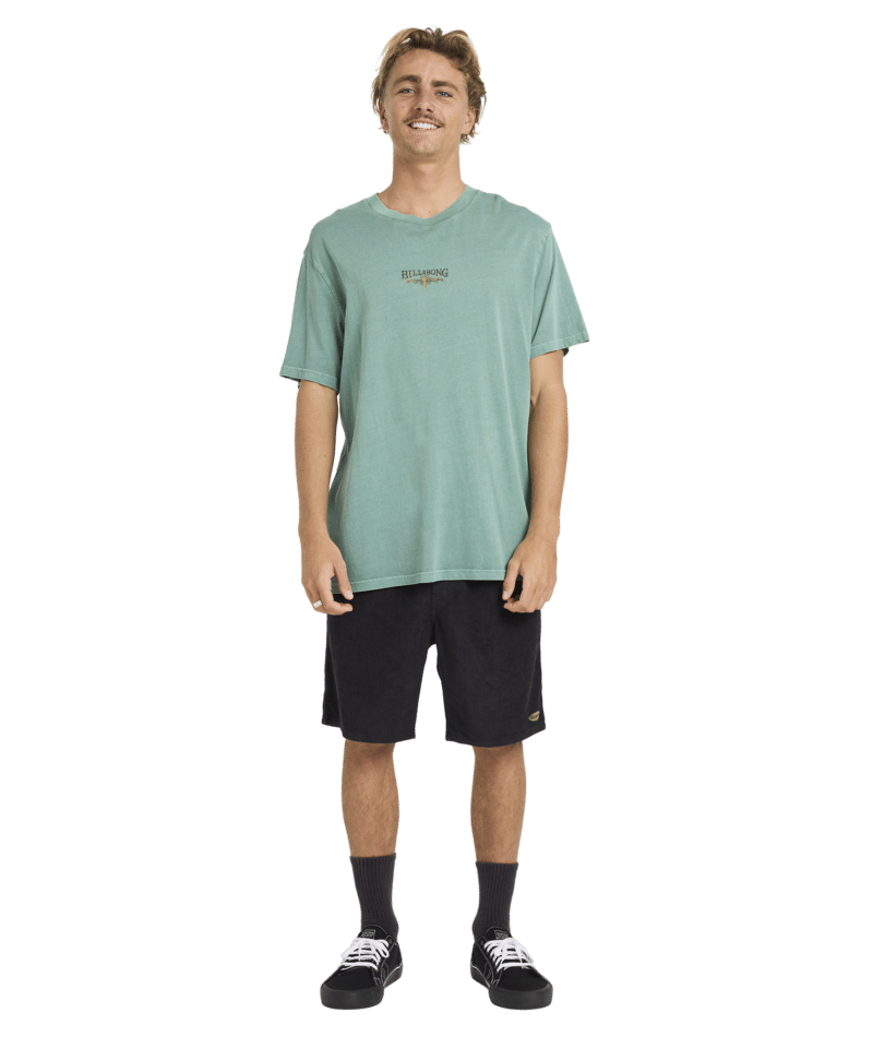Billabong Pure Intentions Ww Premium Ss in SEA GREEN