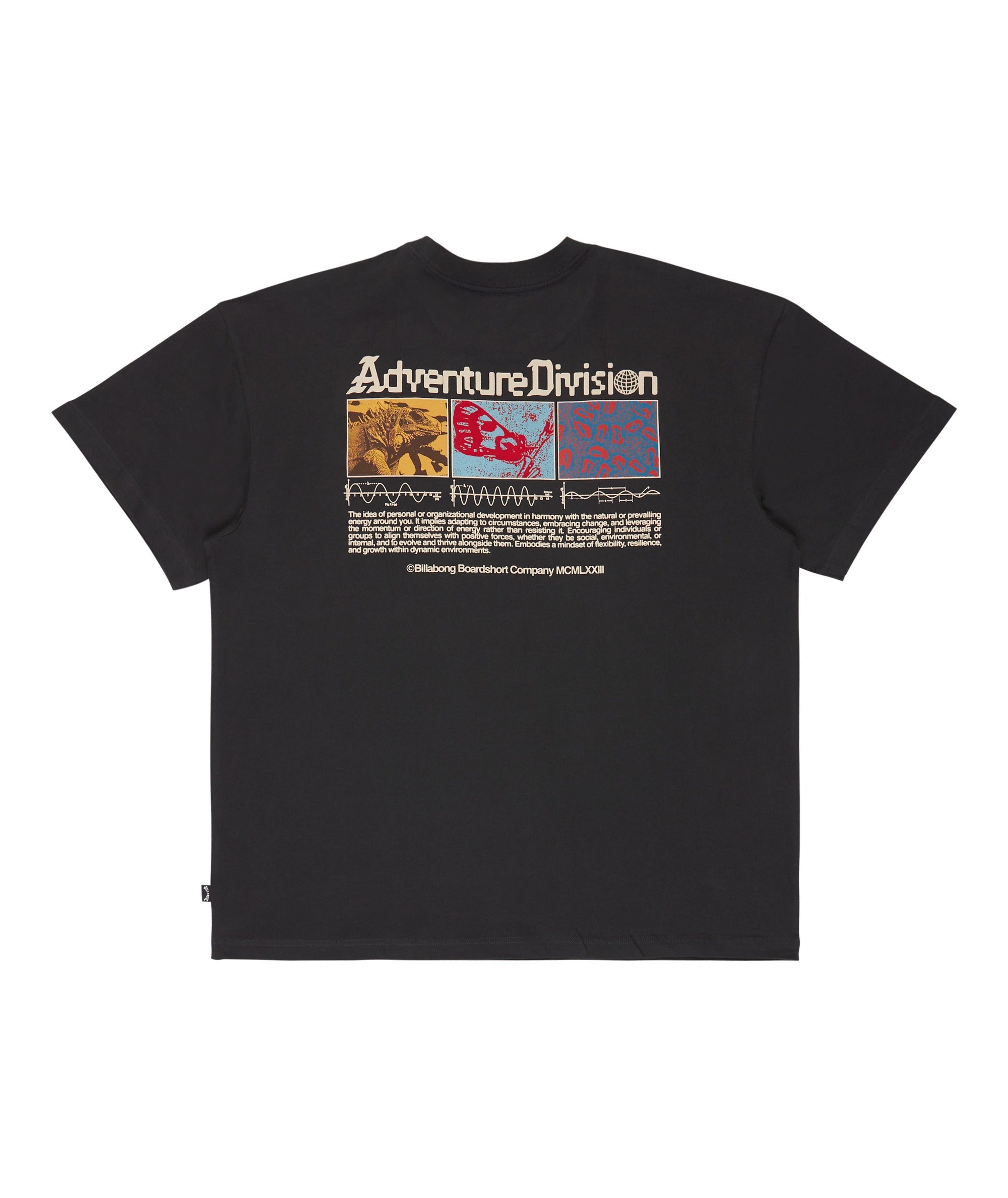 Billabong Evolve Adiv Og Ss in WASHED BLACK