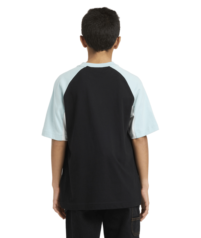 Billabong Boys Spec 73 System Tee in BLACK