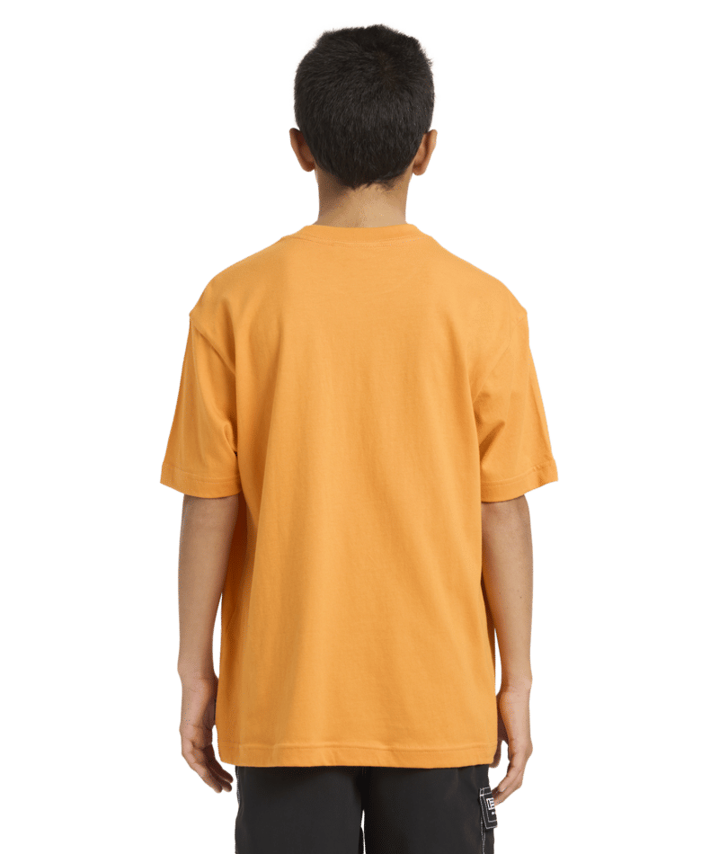 Billabong Boys Spec 73 Signal Ss in DUSTY ORANGE