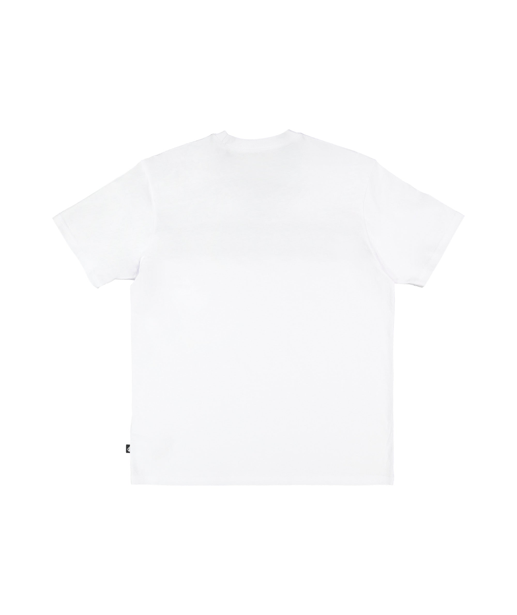 Quiksilver Takarangi Panel Ss in WHITE