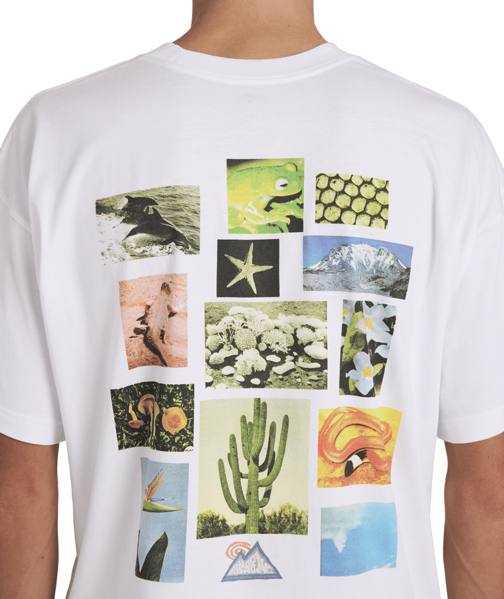 Billabong Mens A/Div Moments T-Shirt in White