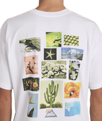 Billabong Mens A/Div Moments T-Shirt in White