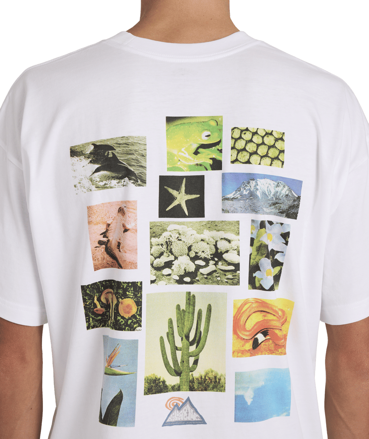 Billabong Mens A/Div Moments T-Shirt in White