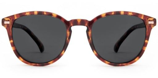 Carve Oslo Gloss Tort Grey Pol in n/a