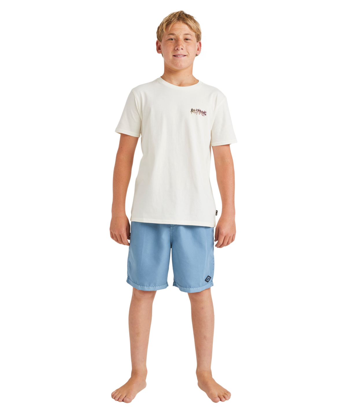Billabong ALL DAY OVD LB in Steel Blue