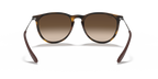 Ray-Ban® ERIKA RUBBER HAVANA BROWN GRAD in Rubber Havana