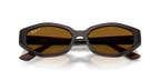 Ray-Ban® DARK BROWN DARK BROWN POLAR in Dark Brown