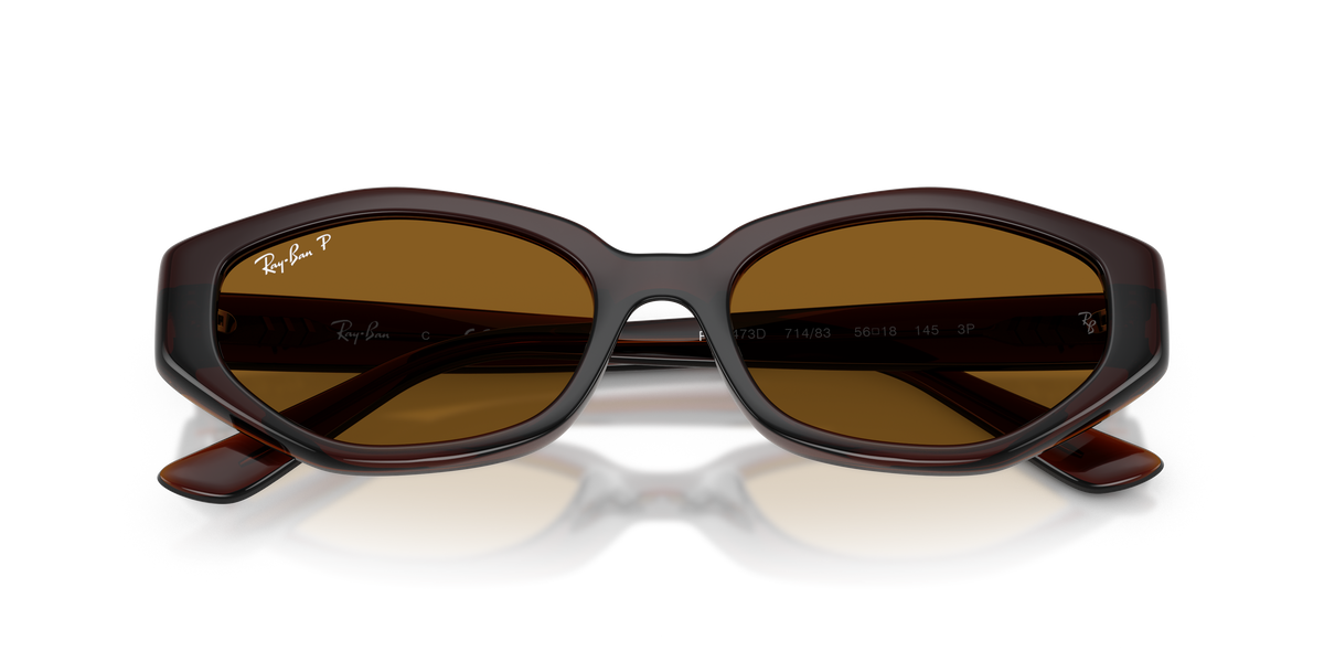 Ray-Ban® DARK BROWN DARK BROWN POLAR in Dark Brown