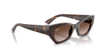 Ray-Ban® ZENA HAVANA GRADIENT BROWN in Havana