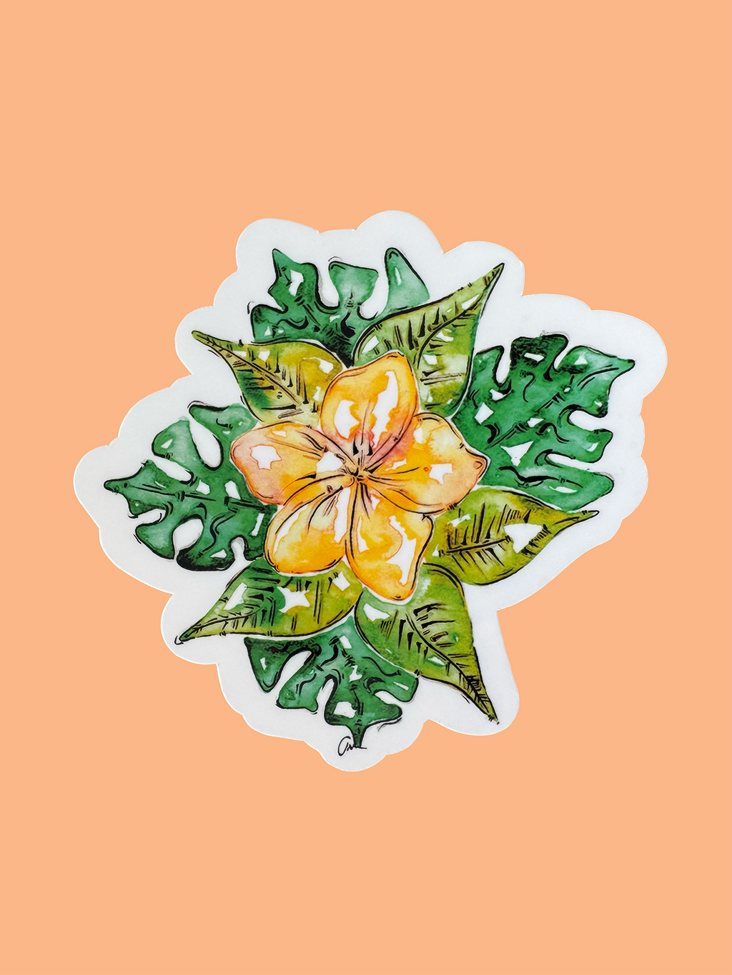 Trevena & Co Franjipani Flower Watercolour Vinyl Sticker in Single