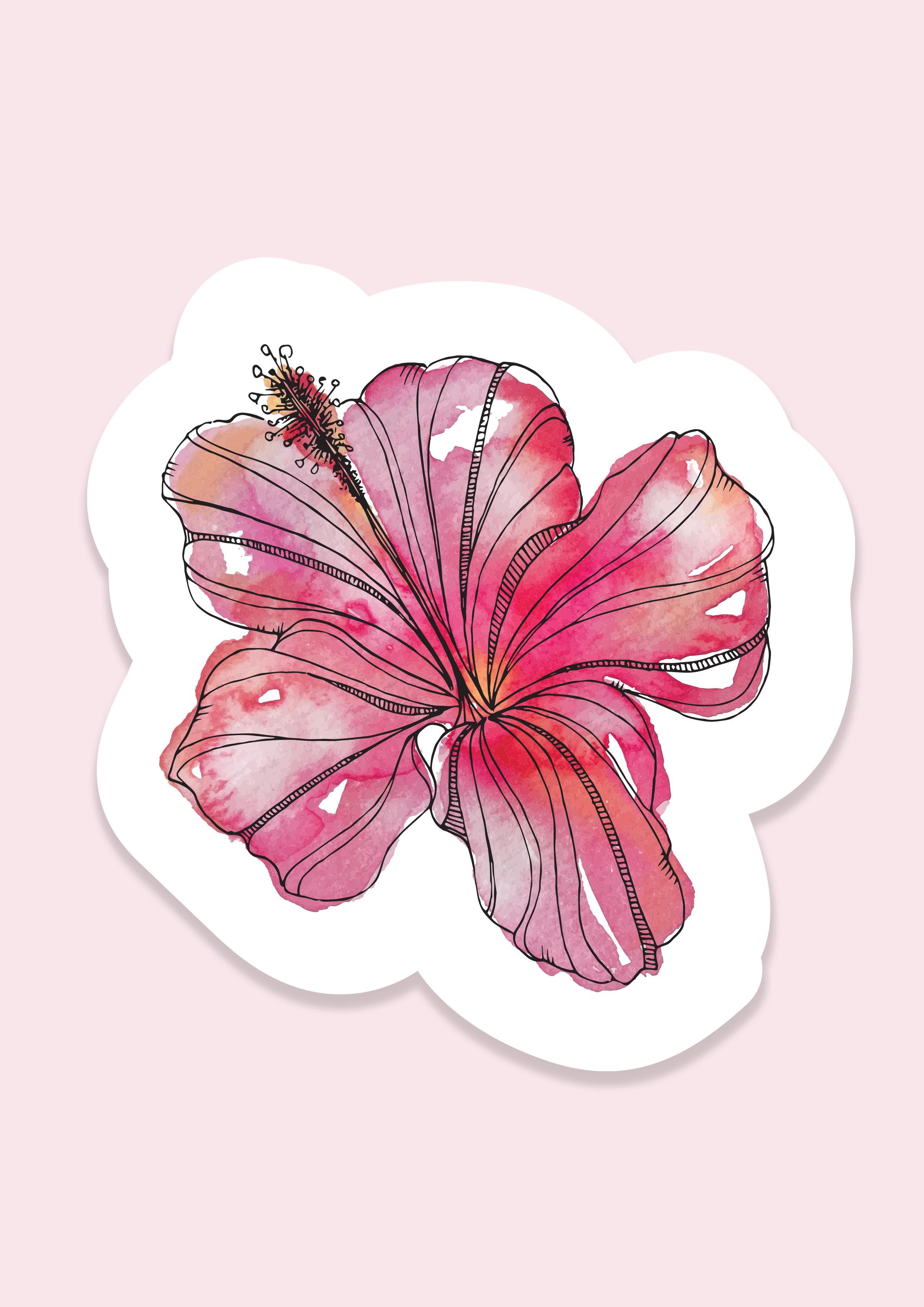 Trevena & Co Hibiscus Flower Watercolour Vinyl Sticker in Single