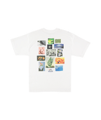 Billabong Mens A/Div Moments T-Shirt in White