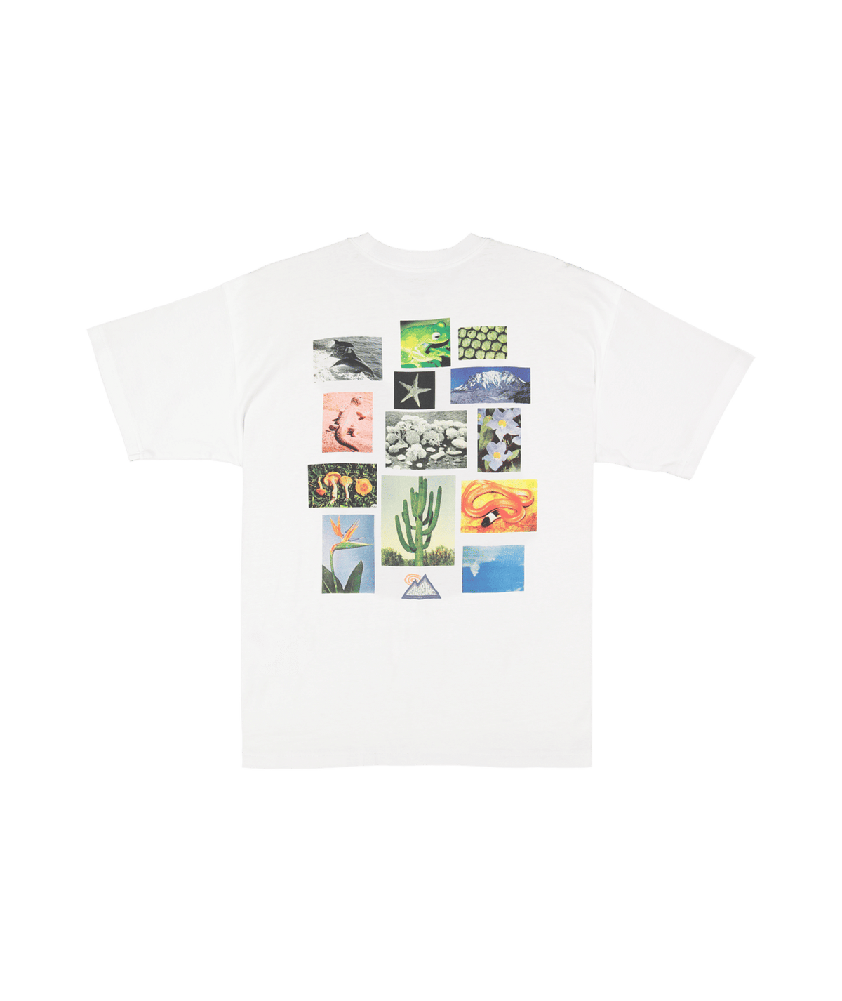 Billabong Mens A/Div Moments T-Shirt in White