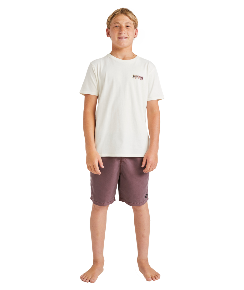 Billabong ALL DAY OVD LB in Port