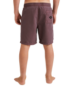 Billabong ALL DAY OVD LB in Port