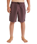 Billabong ALL DAY OVD LB in Port