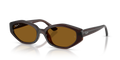 Ray-Ban® DARK BROWN DARK BROWN POLAR in Dark Brown