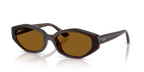 Ray-Ban® DARK BROWN DARK BROWN POLAR in Dark Brown