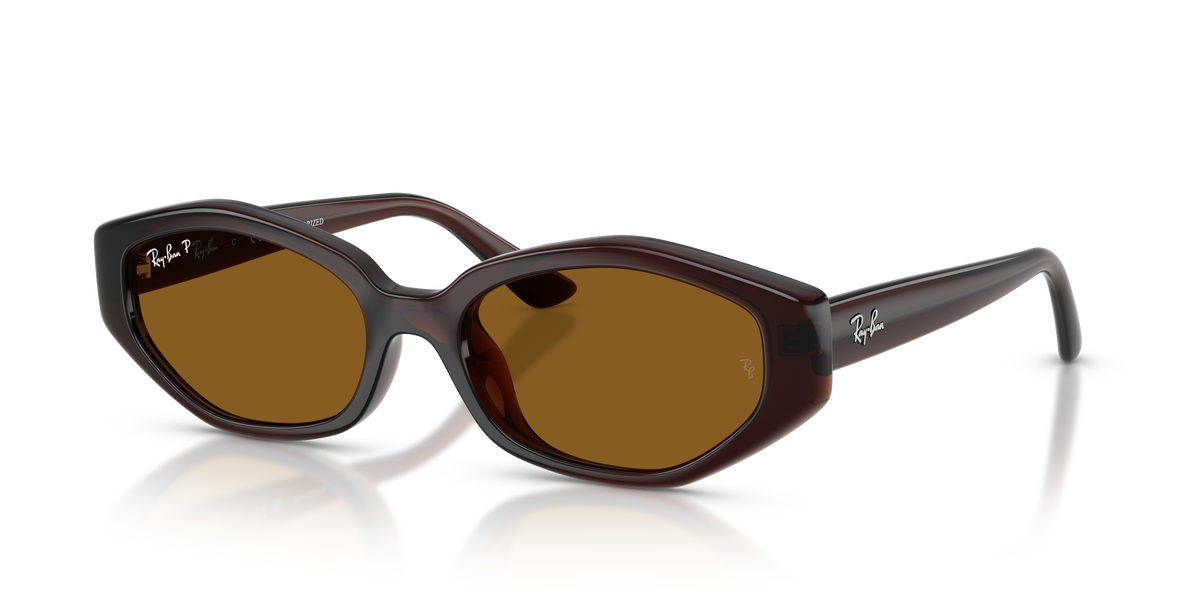 Ray-Ban® DARK BROWN DARK BROWN POLAR in Dark Brown