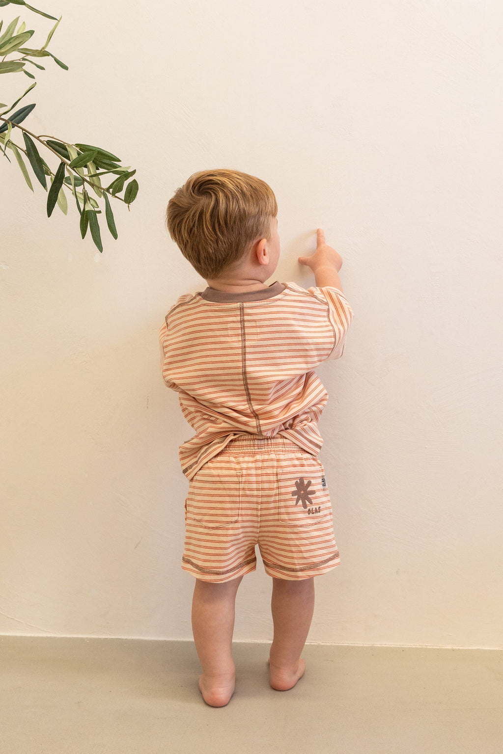 Olas Supply Co BLUFF MINI SET in Single