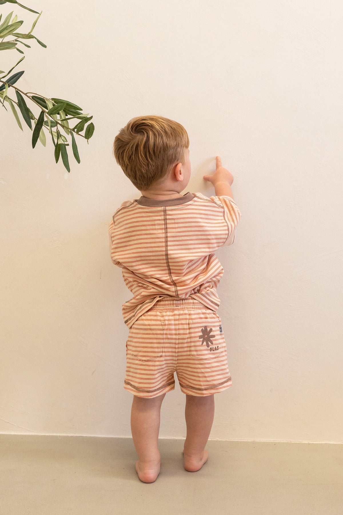 Olas Supply Co BLUFF MINI SET in Single