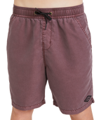 Billabong ALL DAY OVD LB in Port