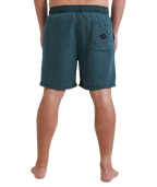 Billabong All Day Ovd Layback in DARK FOREST