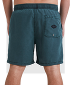 Billabong All Day Ovd Layback in DARK FOREST