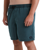 Billabong All Day Ovd Layback in DARK FOREST