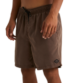 Billabong All Day Ovd Layback in JAVA
