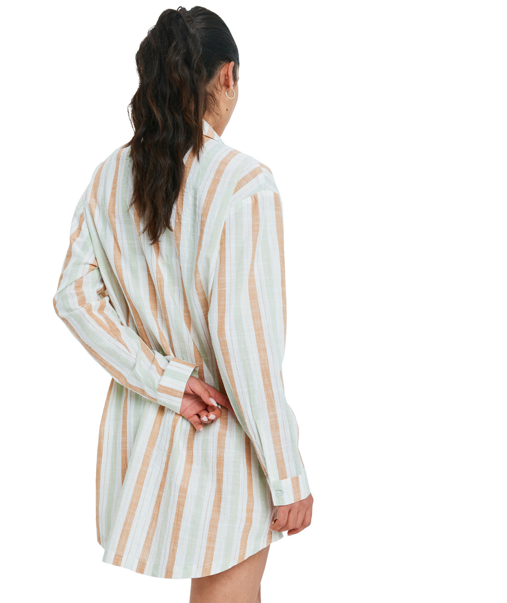 Roxy New Blue Riptide in LAUREL GREEN CARVER STRIPE SWI